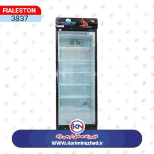 تصویر اصلی فریزر 60 تک درب فیالستون